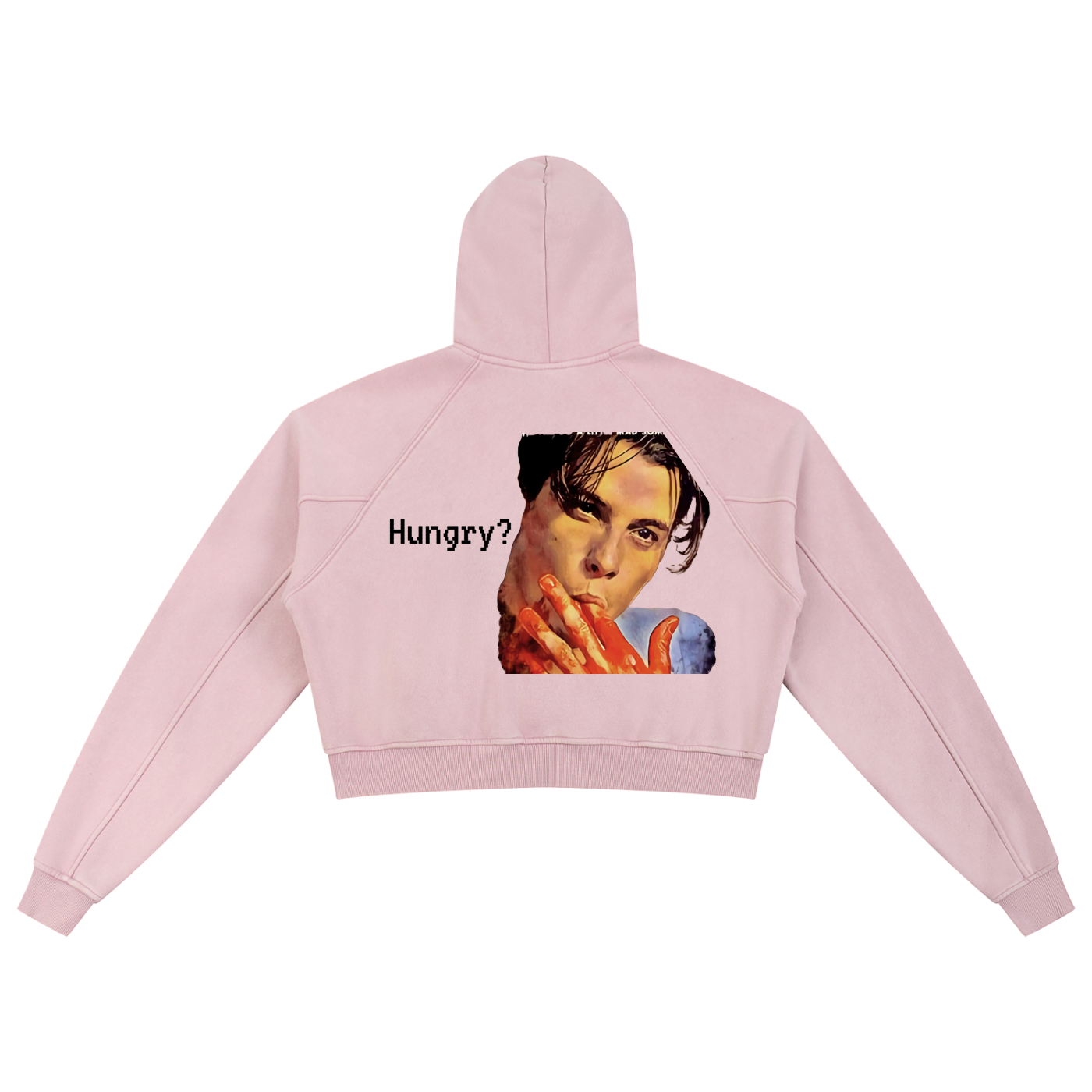 Snow Washed Cropped Hoodie